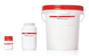 L-Tyrosine disodium salt dihydrate 