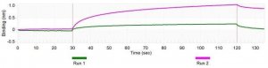 Anti-Bacteriophage MS2 Antibody, clone 1B21 ZooMAb Rabbit Monoclonal 