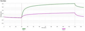 Anti-CD24 Antibody, clone 3N22 ZooMAb Rabbit Monoclonal 