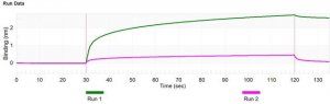 Anti-PHPT1 Antibody, clone 1D19 ZooMAb Rabbit Monoclonal 