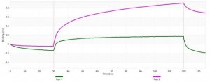 Anti-ZFAND1 Antibody, clone 4K16 ZooMAb Rabbit Monoclonal 