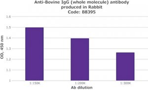 Anti-Bovine IgG (whole molecule) antibody produced in rabbit B8395-2ML