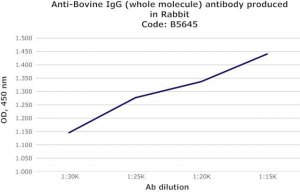 Anti-Bovine IgG (whole molecule) antibody produced in rabbit B5645-1ML