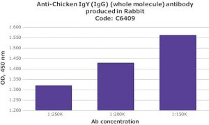 Anti-Chicken IgY (IgG) (whole molecule) antibody produced in rabbit C6409-2ML