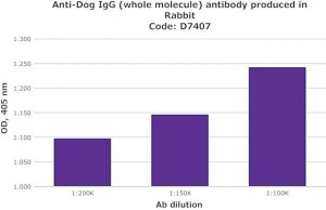 Anti-Dog IgG (whole molecule) antibody produced in rabbit D7407-2ML