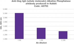 Anti-Dog IgG (whole molecule)Alkaline Phosphatase antibody produced in rabbit A0793-1ML