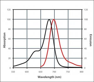 Anti-Goat IgG (H+L), CF 680 antibody produced in rabbit 