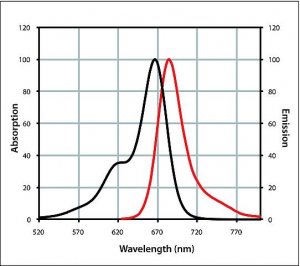 Anti-Goat IgG (H+L), highly cross-adsorbed, CF 660C antibody produced in donkey 