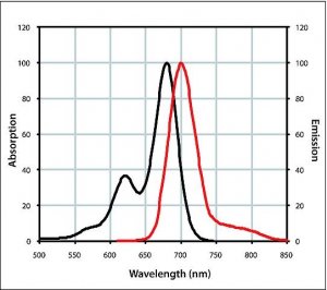 Anti-Goat IgG (H+L), highly cross-adsorbed, CF 680R antibody produced in donkey 