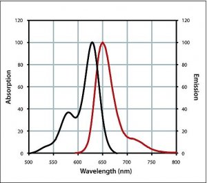 Anti-Guinea Pig IgG (H+L), CF 633 antibody produced in goat 