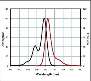 Anti-Guinea Pig IgG (H+L), CF 640R antibody produced in goat 