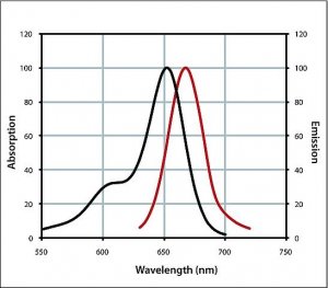 Anti-Guinea Pig IgG (H+L), CF 647 antibody produced in goat 