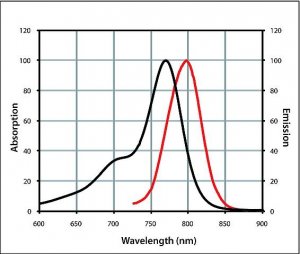 Anti-Guinea Pig IgG (H+L), highly cross-adsorbed, CF 770 antibody produced in donkey 