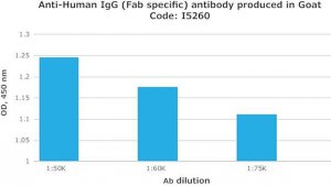 Anti-Human IgG (Fab specific) antibody produced in goat I5260-1ML