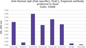 Anti-Human IgG (Fab specific), F(ab)2 fragment antibody produced in goat I3266-1ML