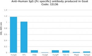Anti-Human IgG (Fc specific) antibody produced in goat I2136-1ML