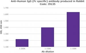 Anti-Human IgG (Fc specific) antibody produced in rabbit I9135-2ML