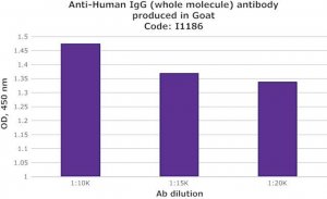 Anti-Human IgG (whole molecule) antibody produced in goat I1886-2ML