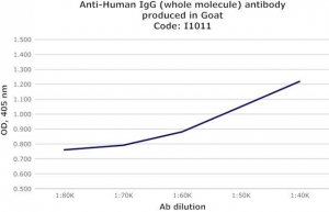 Anti-Human IgG (whole molecule) antibody produced in goat I1011-2ML