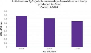 Anti-Human IgG (whole molecule)Peroxidase antibody produced in goat A8667-2ML
