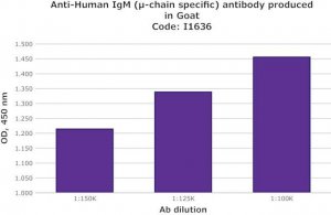 Anti-Human IgM (-chain specific) antibody produced in goat I1636-2ML