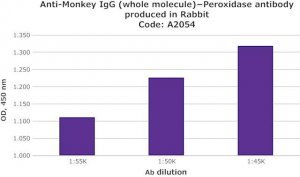 Anti-Monkey IgG (whole molecule)Peroxidase antibody produced in rabbit A2054-1ML
