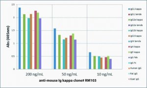 Anti-Mouse Ig Kappa Light Chain-Biotin antibody, Rabbit monoclonal SAB5600159-50UG
