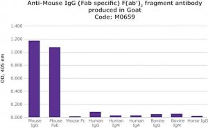 Anti-Mouse IgG (Fab specific) F(ab)2 fragment antibody produced in goat 