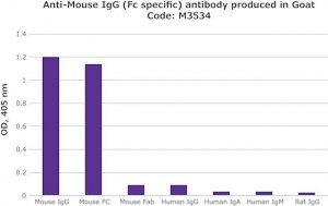 Anti-Mouse IgG (Fc specific) antibody produced in goat M3534-1ML