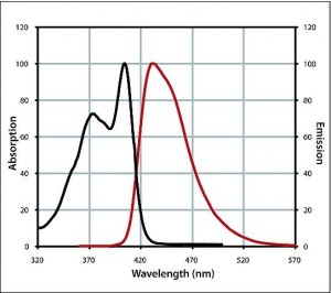 Anti-Mouse IgG (H+L), CF 405S antibody produced in goat 