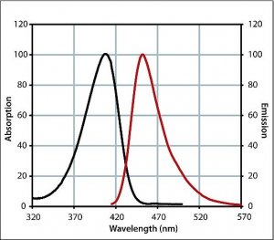 Anti-Mouse IgG (H+L), highly cross-adsorbed, CF 405M antibody produced in goat 