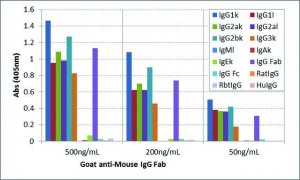 Anti-Mouse IgG Fab-Biotin antibody, Goat monoclonal SAB5600282-50UG