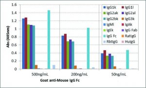 Anti-Mouse IgG Fc-Biotin antibody, Goat monoclonal SAB5600284-50UG