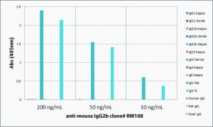Anti-Mouse IgG2b-Biotin antibody, Rabbit monoclonal SAB5600164-50UG