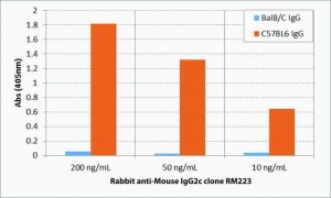 Anti-Mouse IgG2c-Biotin antibody, Rabbit monoclonal SAB5600168-50UG
