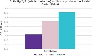 Anti-Pig IgG (whole molecule) antibody produced in rabbit P0916-2ML