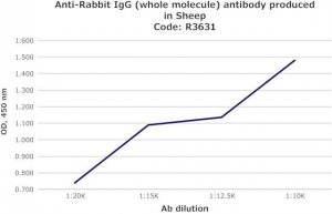 Anti-Rabbit IgG (whole molecule) antibody produced in sheep R3631-1ML