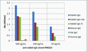 Anti-Rabbit IgG antibody, Goat monoclonal SAB5600127-100UG