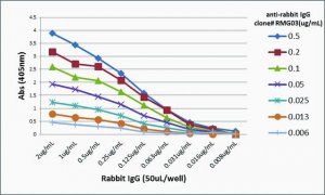 Anti-Rabbit IgG antibody, Goat monoclonal SAB5600127-100UG