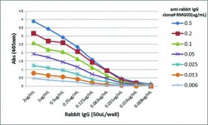 Anti-Rabbit IgG-Biotin antibody, Goat monoclonal 