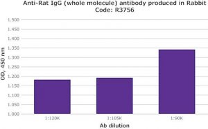 Anti-Rat IgG (whole molecule) antibody produced in rabbit R3756-1ML