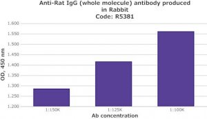 Anti-Rat IgG (whole molecule) antibody produced in rabbit R5381-2ML