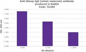 Anti-Sheep IgG (whole molecule) antibody produced in rabbit S1265-2ML
