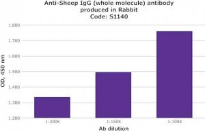 Anti-Sheep IgG (whole molecule) antibody produced in rabbit S1140-2ML