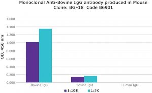 Monoclonal Anti-Bovine IgG antibody produced in mouse 
