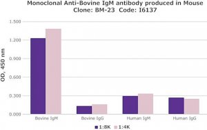 Monoclonal Anti-Bovine IgM antibody produced in mouse 