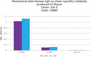 Monoclonal Anti-Human IgG (-chain specific) antibody produced in mouse 