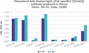 Monoclonal Anti-Human IgG1 (Fab specific) [G1m(f)] antibody produced in mouse 