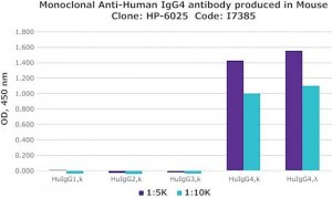 Monoclonal Anti-Human IgG4 antibody produced in mouse 
