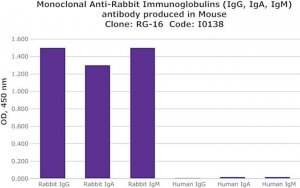 Monoclonal Anti-Rabbit Immunoglobulins (IgG, IgA, IgM) antibody produced in mouse 
